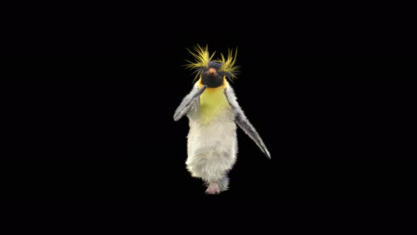 Penguin Dancing 4K alt