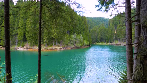 Lake with turquoise water and green mountain forest. Old trees in the mountain lake.  alt