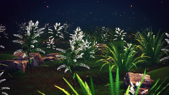 Flowers Garden At Night 4k