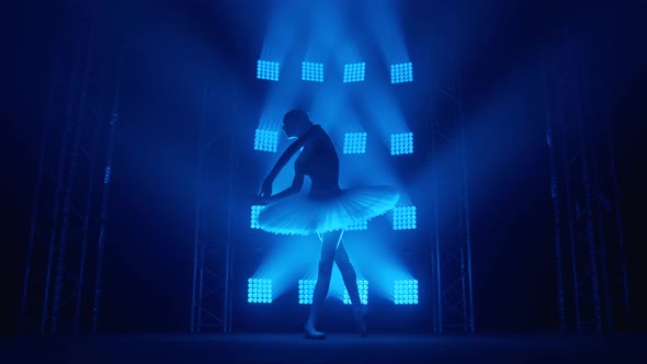Graceful Silhouette Ballerina Doing a Workout in the Classroom. Smoke in the Rays of Blue Light alt