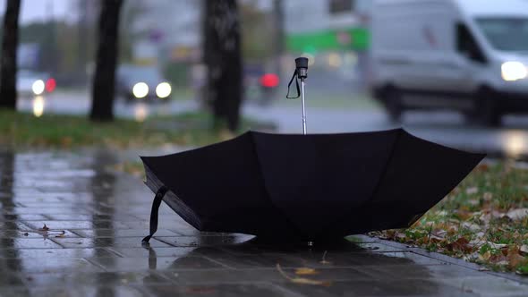 Thrown Black Umbrella on the Road on a Rainy Day