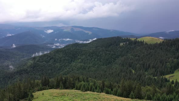 Aerial Mountain Forest alt