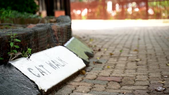 Close-up of a walkway sign in Johannesburg Zoo, South Africa alt