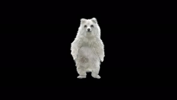 175 Bear Orc Walk 4K alt