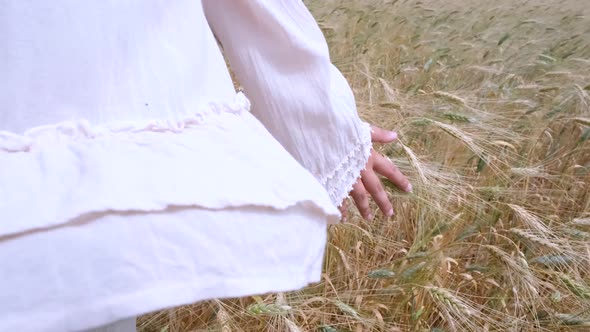 Woman's hand moving through wheat field. Wheat swaying in the wind
