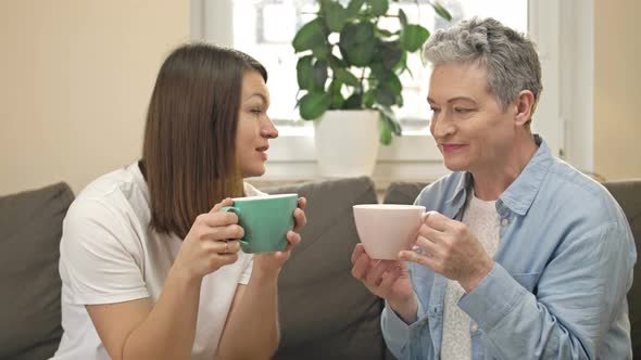 Cheerful Women of Different Ages Drink Tea or Coffee While Sitting on the Sofa in the Living Room