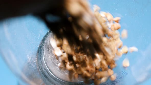 Fresh green raw Buckwheat grains is pouring from a linen storage bag into a buckwheat packing