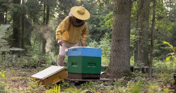 Young Experienced Hardworking Man Engaged in Beekeeping Assembles the Elements of an Apiary and alt