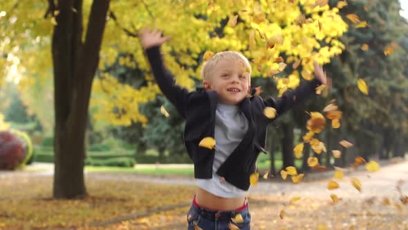 Happy Little Boy Throws Yellow Leaves in Autumn Park. Slow Motion. alt