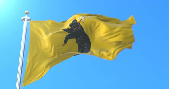 Yaroslavl Flag, Russia alt