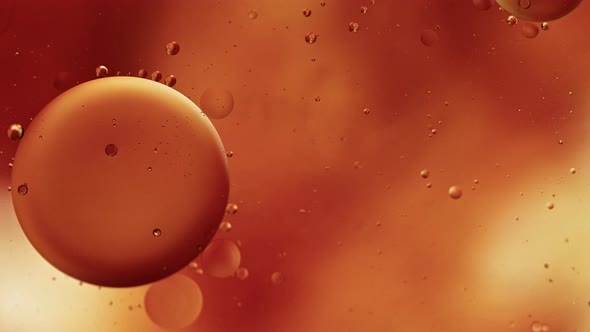 Abstract Colorful Food Oil Drops Bubbles 68 alt