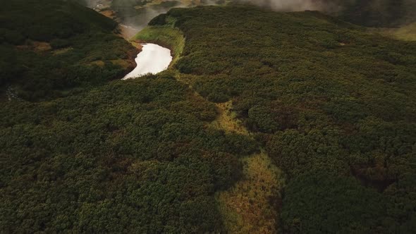 Aerial View of Colorful Forest and Low Clouds