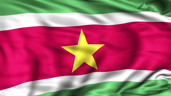 Suriname Flag alt