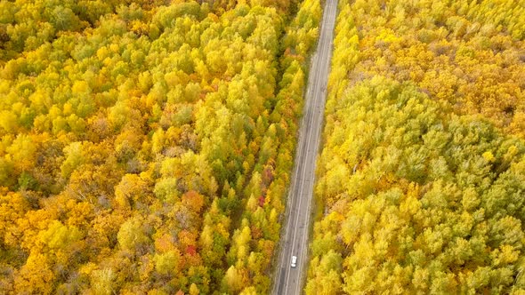 Car On The Autumn Nature Road