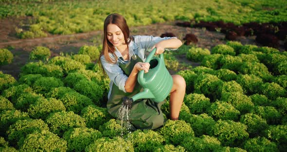 Smiling Woman Watering Salad Plant