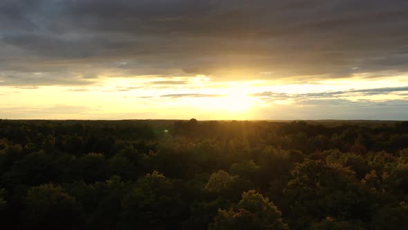 Beautiful Aerial Summer Sunset Above Green Forest 01