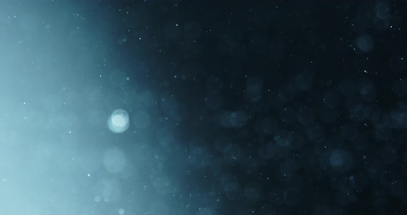 Bubbles Rising In Water Against Blue Background alt