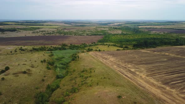 Top View of the Fields with Ponds alt