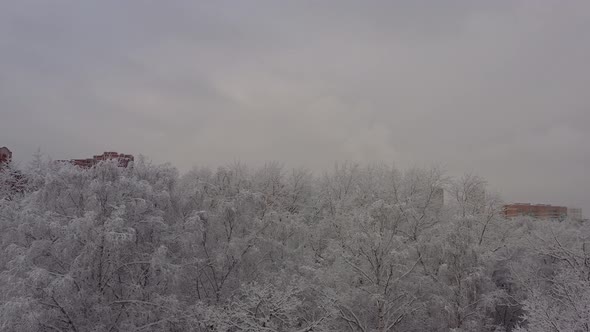 A Winter Cityscape After a Snowfall