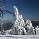 Winter Forest In The Mountains - VideoHive Item for Sale