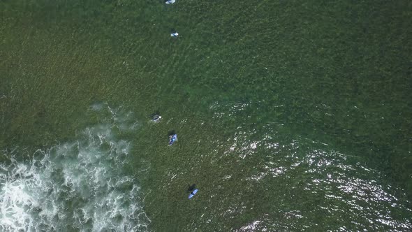 A View From Above of the Surfers in the Ocean