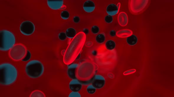 3D Animation of toxins or drugs flowing in the blood stream