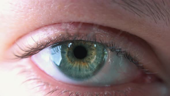 Close Shot of Beautiful Caucasian Female Eye alt