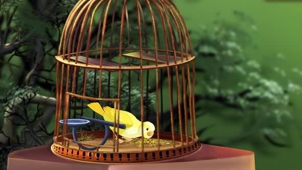 Domestic Yellow canary in a cage