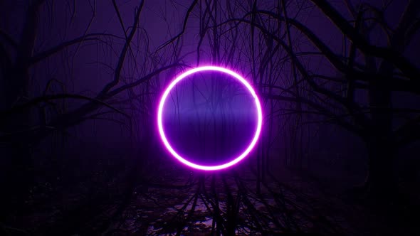 Glowing Purple Neon Circle Light in the Dark Forest alt