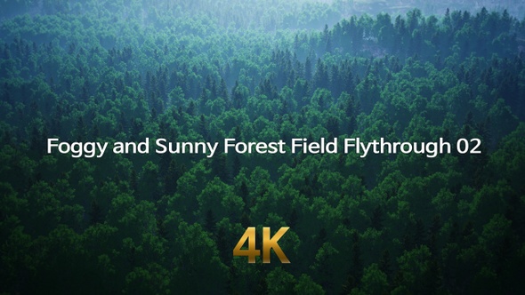 Foggy and Sunny Forest Flythrough 4K 02 alt