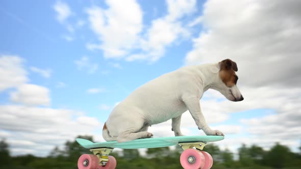 Video 360 Degrees alt