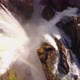 Over the Waterfall - VideoHive Item for Sale