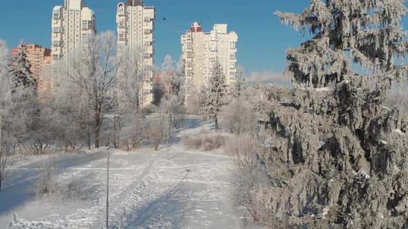 View of Snow-covered City Park on Sunny Day. Moscow, Russia