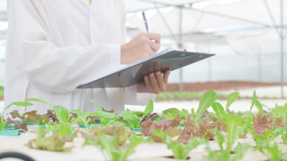 Asian woman checking young plant healthy in organic farm and record the result data in document.