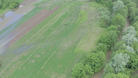 Green agricultural crop after heavy raining 4K aerial video alt