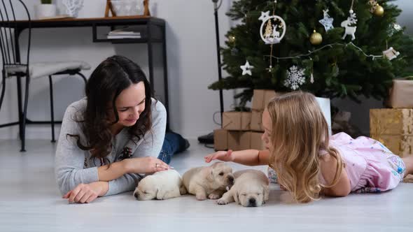 Woman with Daughter Pet Puppies Near Xmas Tree alt