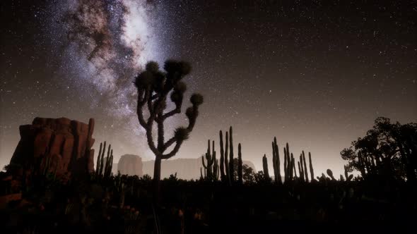 Hyperlapse in Death Valley National Park Desert Moonlit Under Galaxy Stars alt