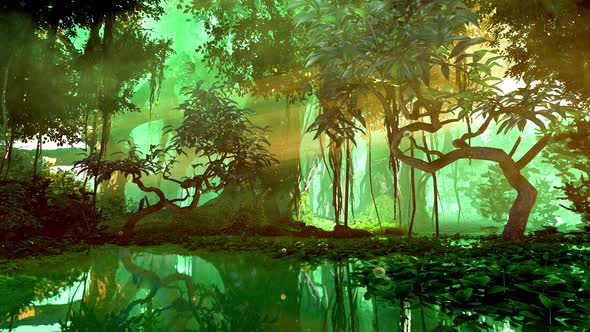 Tropical forest atmosphere