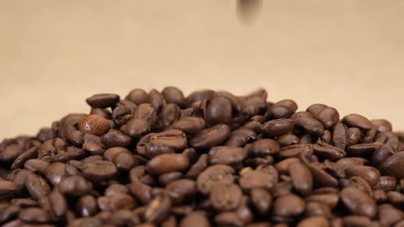 Coffee beans falling on jute canvas background. Arabica aroma. alt