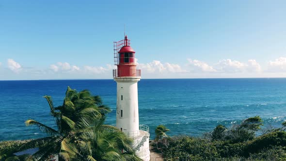 Seascape with a Lighthouse Surrounded By Palms alt