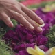 Woman Hands With Flowers - VideoHive Item for Sale