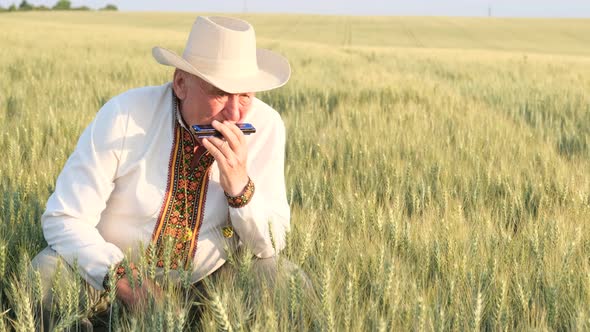 A Lonely Grandfather Sits in a Wheat Field and Plays French Harps alt