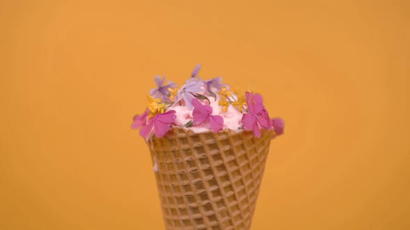 Vanilla Ice cream in waffle cone decorated with spring flowers, vanilla style