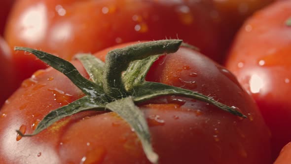 Closeup of organic cherry tomatoes