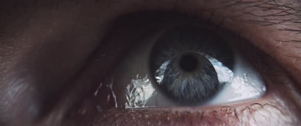 Blue eyes pupil looking up alt