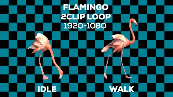 Flamingo 2 Clip Loop