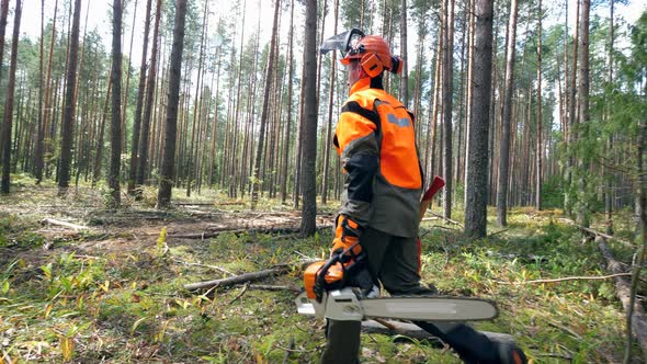 Lumberman Is Walking Along the Forest with a Chainsaw alt