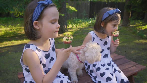 Two Beautiful Girls Are Eating Ice Cream on a Bench in the Summer Forest