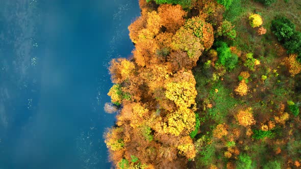 Top down view of river at autumn, aerial view alt