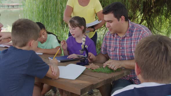 Kids at outdoor school learn about nature